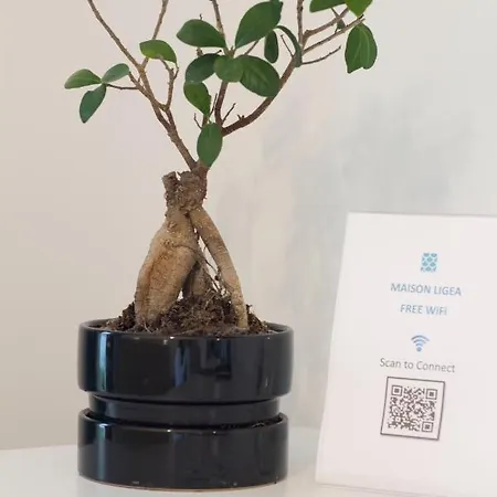 לינה וארוחת בוקר Maison Ligea סורנטו