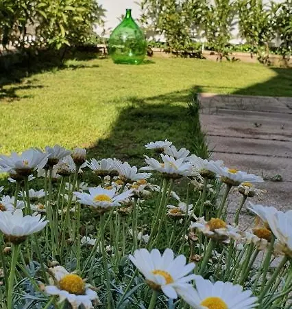 Bed & Breakfast Maison Ligea