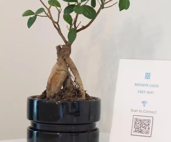 Bed and Breakfast Maison Ligea Σορέντο