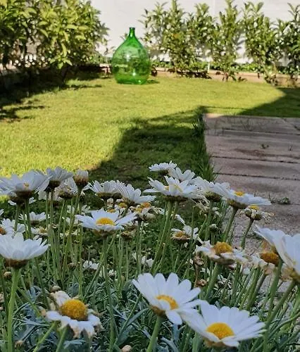 Bed & Breakfast Maison Ligea